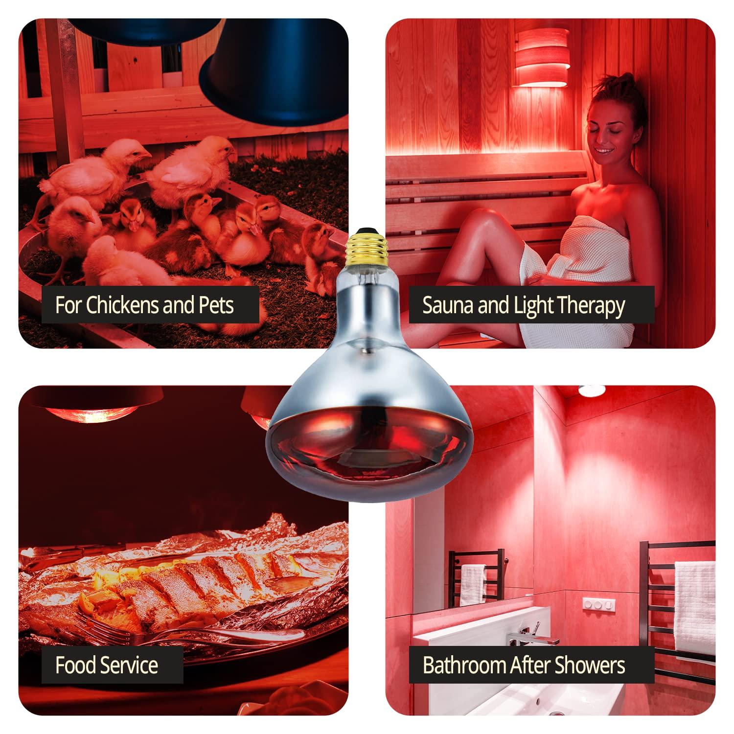 BULBMASTER BULBMASTER 250 Watts R40 Red Heat Lamps Outdoor Bulbs for Pets Flood Light Bulb for Chickens Infrared Reflector 250W R40 Incandescent Medium E26 Base 2 Pack