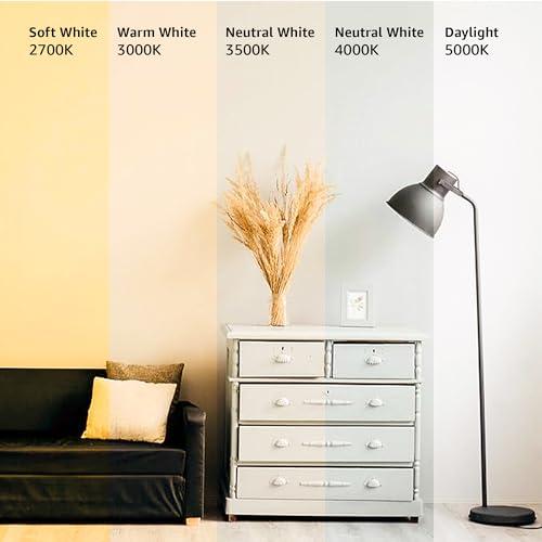 Amazon Basics Amazon Basics A19 LED Light Bulb, 60 Watt Equivalent, Energy Efficient 12W, E26 Standard Base, Soft White 2700K, Dimmable, 10,000 Hour Lifetime , 6-Pack