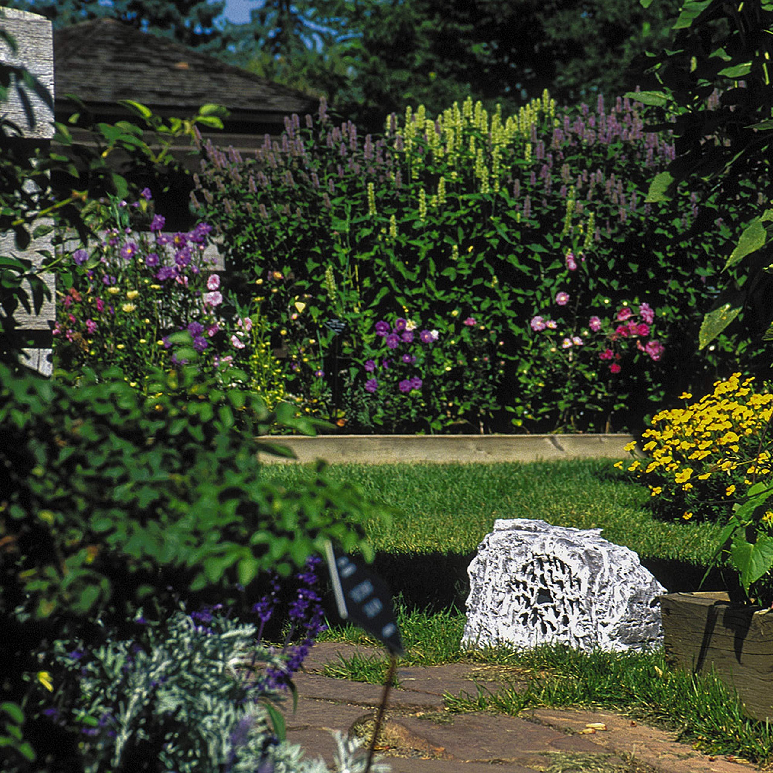 Rockustics Rockustics ECONOROCK-G/T