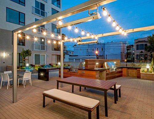 American Lighting American Lighting PS14-E26-WH Professional LED S14 Light Bulbs, Dimmable, Clear Lens, 1.4-Watts, 120V, 48 Lumens, 5500