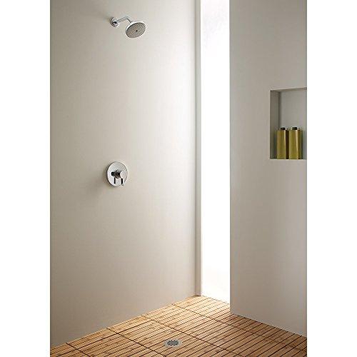 hansgrohe hansgrohe 27495001 Raindance Showerhead, 2.88 x 5.38 x 5.38 Inches, Chrome