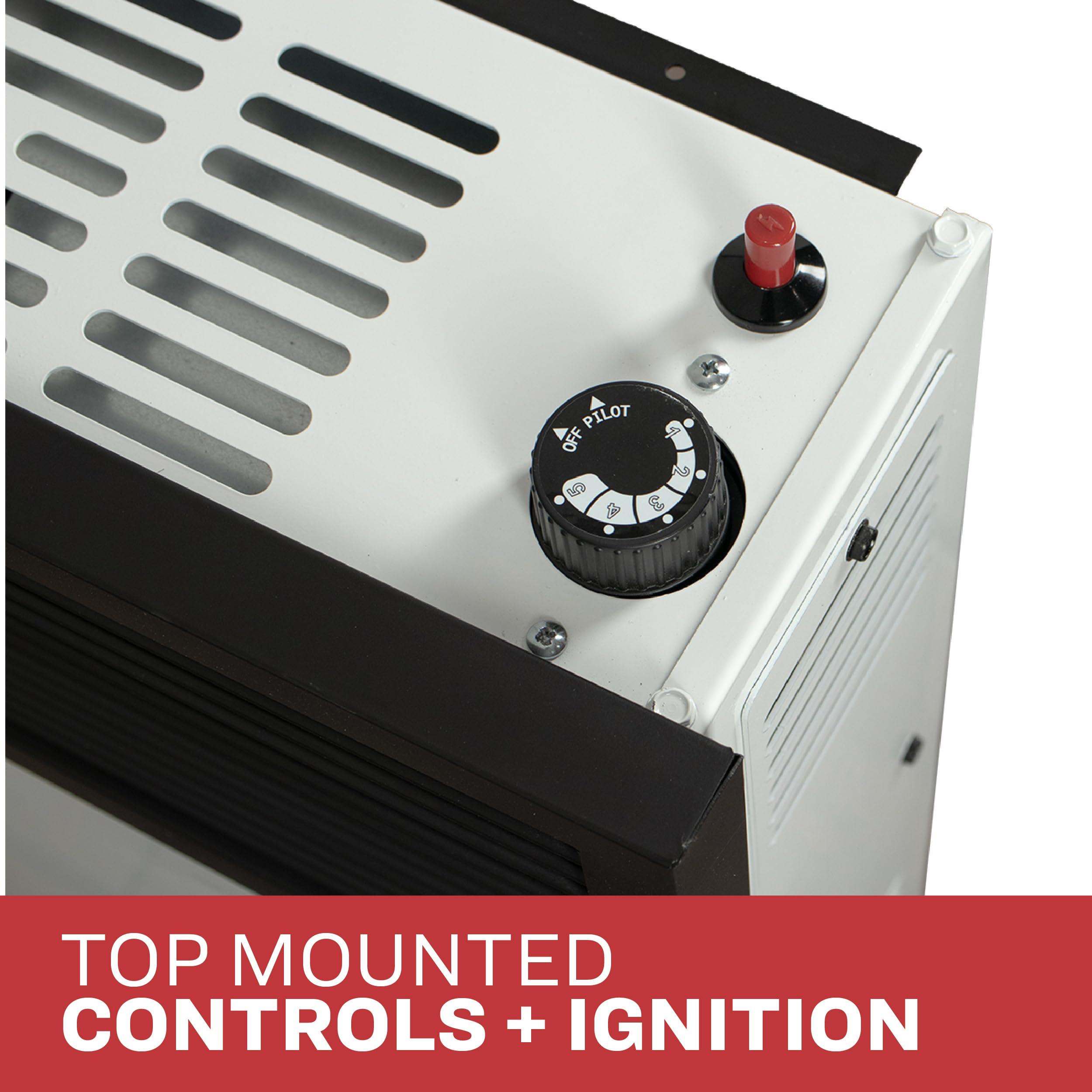 Ashley Hearth Ashley Wall Heater, Dual Fuel, 11k Direct Vent