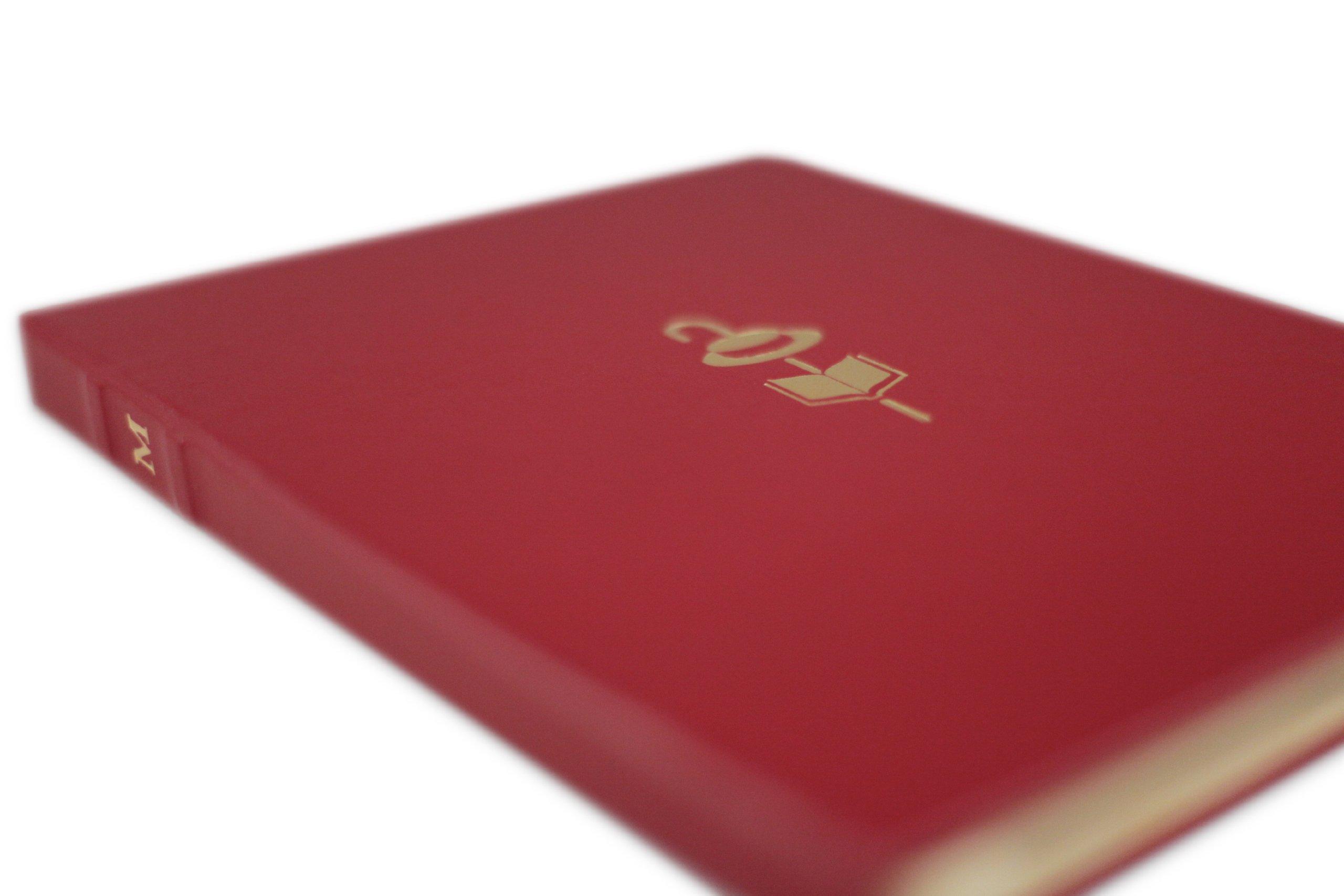 DODOcase DODOcase for iPad 2 (Morris Lessmore)