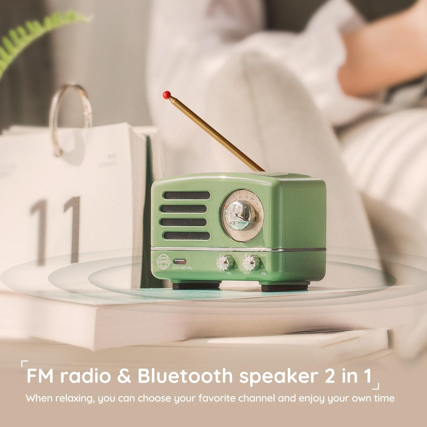 Muzen Muzen Portable Bluetooth Speaker, OTR Metal Vintage Small Wireless Speaker, FM Retro Radio with Antenna AUX, High Fidelity Stereo Audio with Suitcase, for Gift Home Outdoor