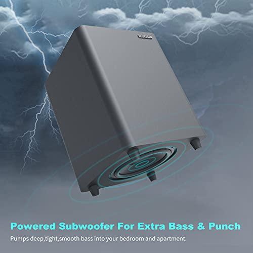 BESTISAN BESTISAN 6.5’’ Subwoofer, Powered Home Audio Sub woofer with Deep Bass in Compact Design, for Studio and Home Theater, Black,SW65C
