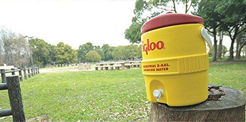 Igloo Igloo 00000421 400 Series 2 Gallon Yellow, White, Red, White
