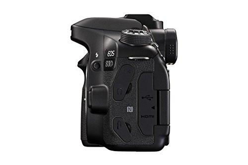 Canon Canon EOS 80D Digital SLR Camera Body (Black) (Renewed)