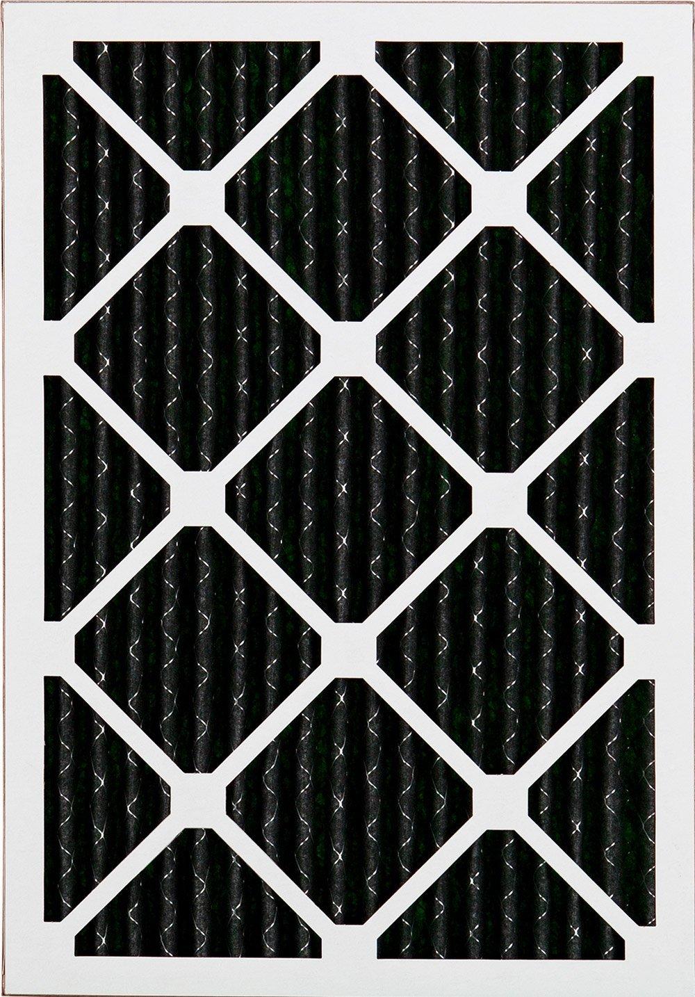 Nordic Pure Nordic Pure 16x20x1 (15 1/2 x 19 1/2 x 3/4) Pure Carbon Pleated Odor Reduction Furnace Air Filters 6 Pack