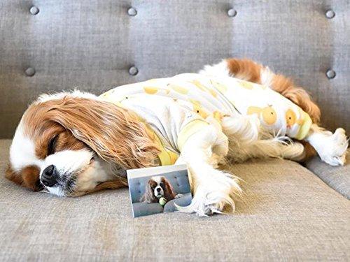 Zink Polaroid 2x3? Premium Zink Photo Paper (30 Pack) Compatible with Polaroid Mint Camera, Snap/Snap Touch Instant Print Cameras & Polaroid Mint and Zip Photo Printers.