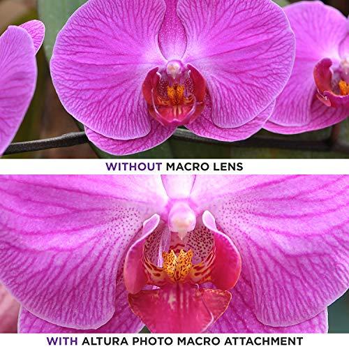 Altura Photo Altura Photo 58MM 0.35x Fisheye Wide Angle Lens (w/Macro Portion) for DSLR Cameras EOS Rebel 70D 77D 80D 90D T8i T7 T7i T6i T6s T6 T5i T5 T4i T3i T100 SL1 SL2 SL3