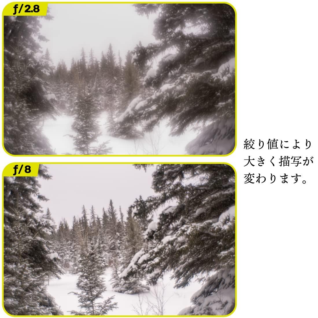 Lensbaby LensBaby - Fixed Body with Soft Focus II 50 Optics - for Sony E - Compatible with All Current and Older Lensbaby Optic Swap Lenses - Manually Adjustable Aperture