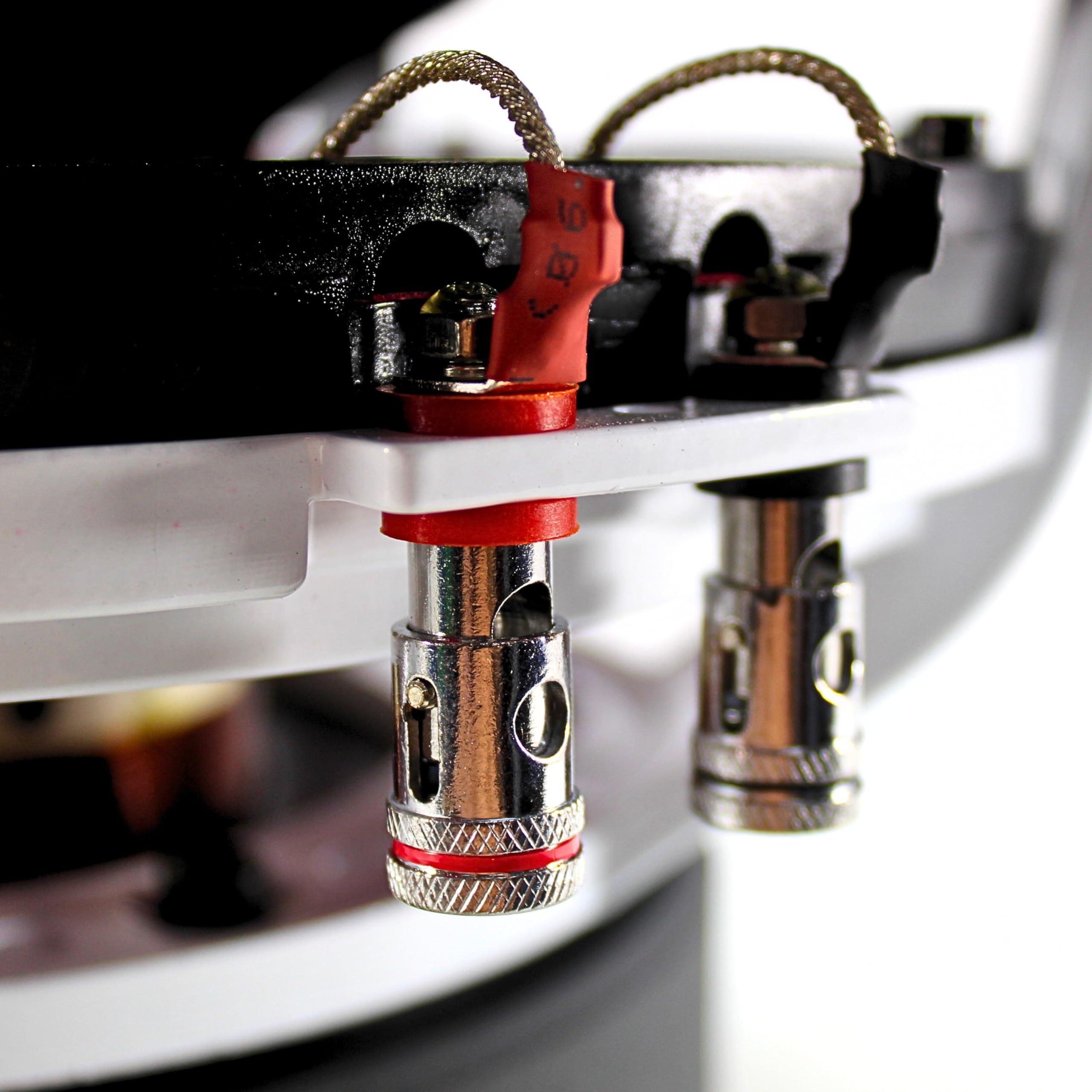 B2 Audio B2 Audio RIOT Series 12\" 750 Watt RMS Dual 2-Ohm 3\" Voice Coil Subwoofer