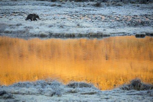 Tamron Tamron A011S SP 150-600mm f/5-6.3 Di VC USD Super Telephoto Zoom Lens for Sony Alpha and Maxxum Cameras - International Version (No Warranty)