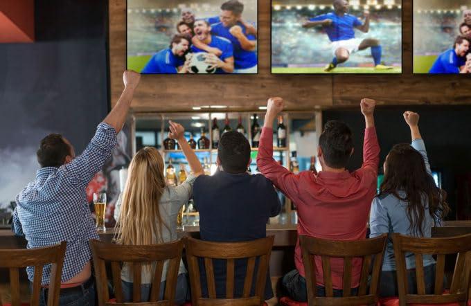 Avarro Generic Avarro V2-P65ES Pro E Series 65"" 4K Ultra HD LED Commercial Display; 350 Nits Brightness; 16/7 Operation; 3840x2160 Resolution; Slim Design; 16:9 Aspect Ratio, Black