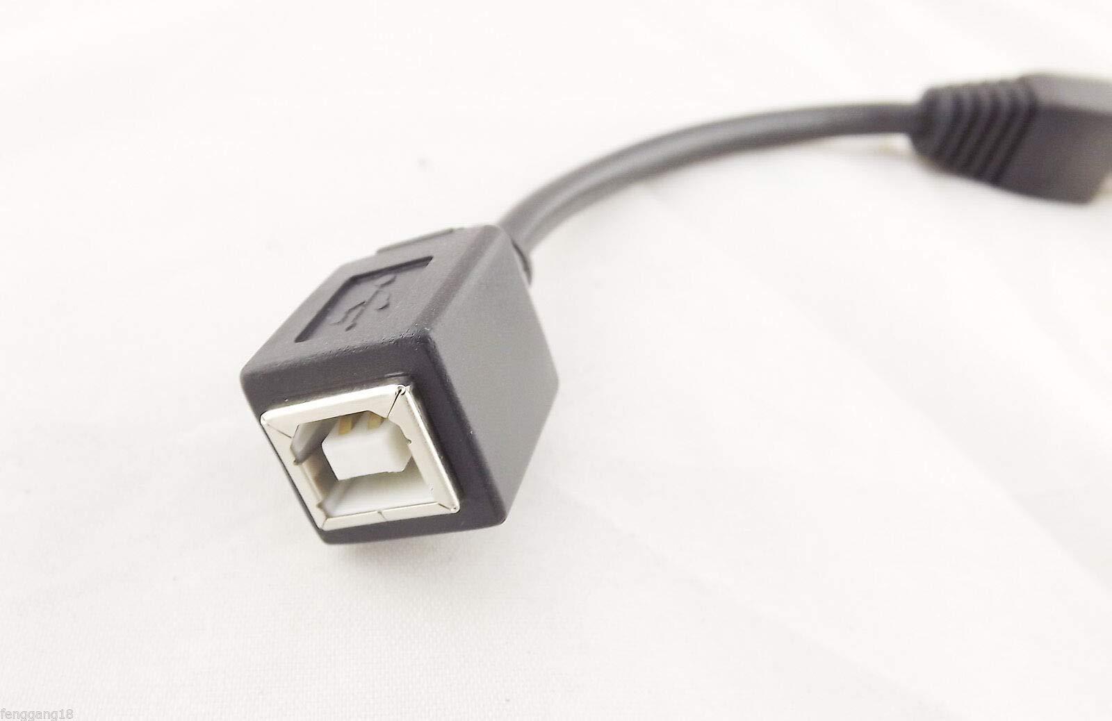 Delmitan Connector and Terminal 1x CAT5 RJ45 Ethernet LAN Network Male to USB 2.0 B Female Printer Adapter Cable