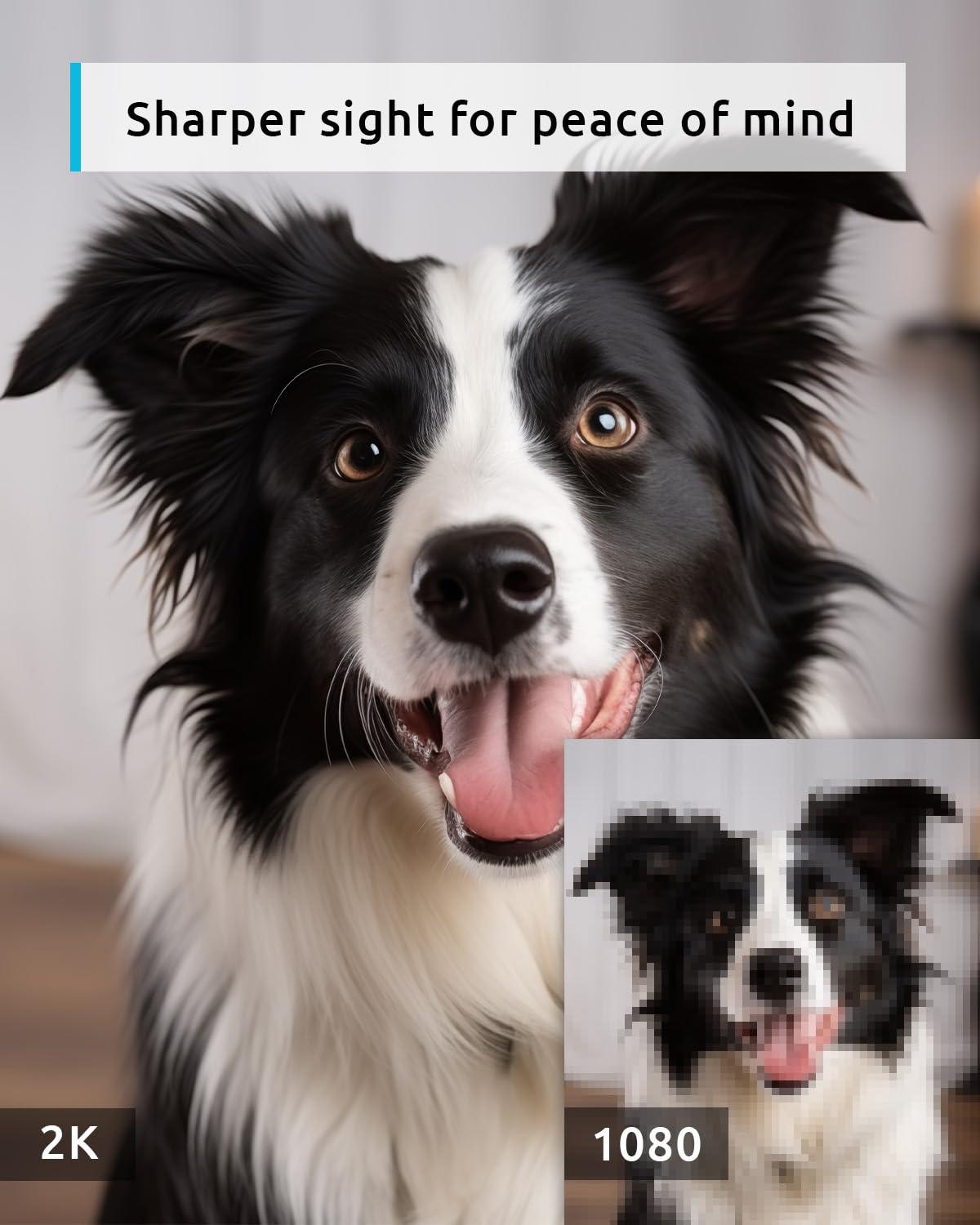 blurams blurams Pet Camera 2K, 360 Dog Camera with Phone App, PTZ Indoor Cameras for Home Security Indoor, 2-Way Audio, Motion Tracking, Color/IR Night Vision, Siren, Cloud&SD(2.4GHz Only)