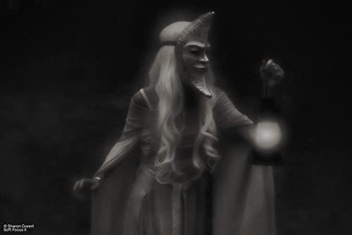 Lensbaby LensBaby - Fixed Body with Soft Focus II 50 Optics - for Sony E - Compatible with All Current and Older Lensbaby Optic Swap Lenses - Manually Adjustable Aperture