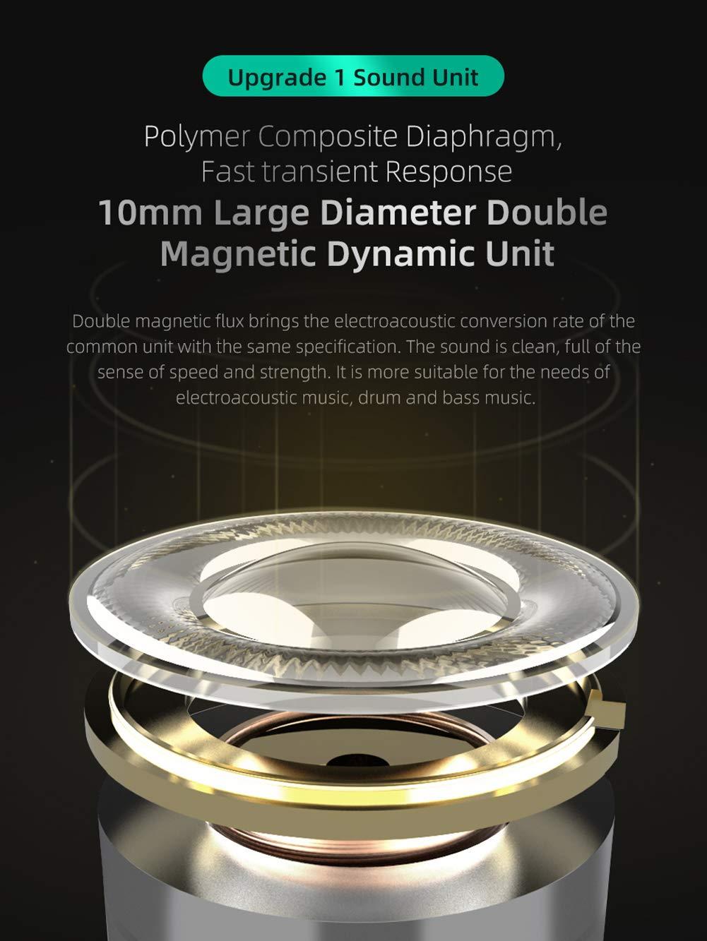 erjigo KZ ZST X in-Ear Monitors, Upgraded Dynamic Hybrid Dual Driver ZSTX Earphones, HiFi Stereo IEM Wired Earbuds/Headphones with Detachable Cable for Musician Audiophile (with Mic, Purple)