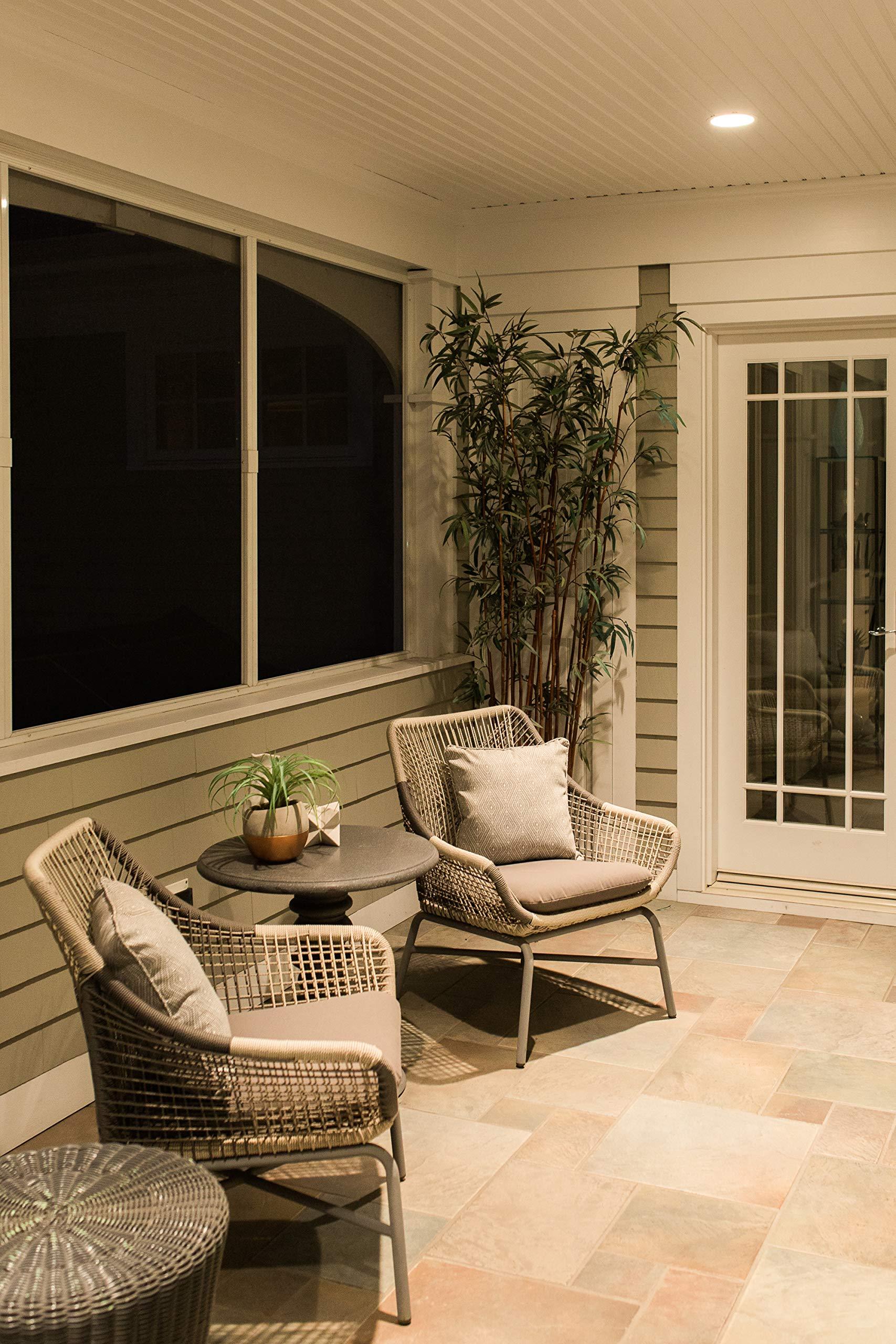 LEDVANCE SYLVANIA BR40 LED Flood Light Bulb, 85W = 13W, 10 Year, Dimmable, Frosted Finish, 1050 Lumens, 5000K, Daylight - 2 Pack (79624)