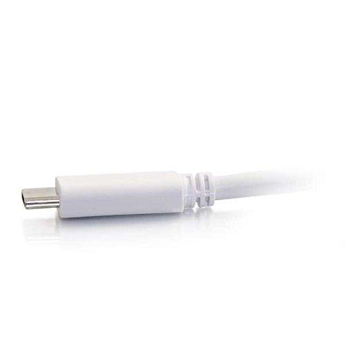 C2G C2G USB Adapter, USB C to Display Port, 4K, 30Hz, White, 12 Feet (3.65 Meters), Cables to Go 26882