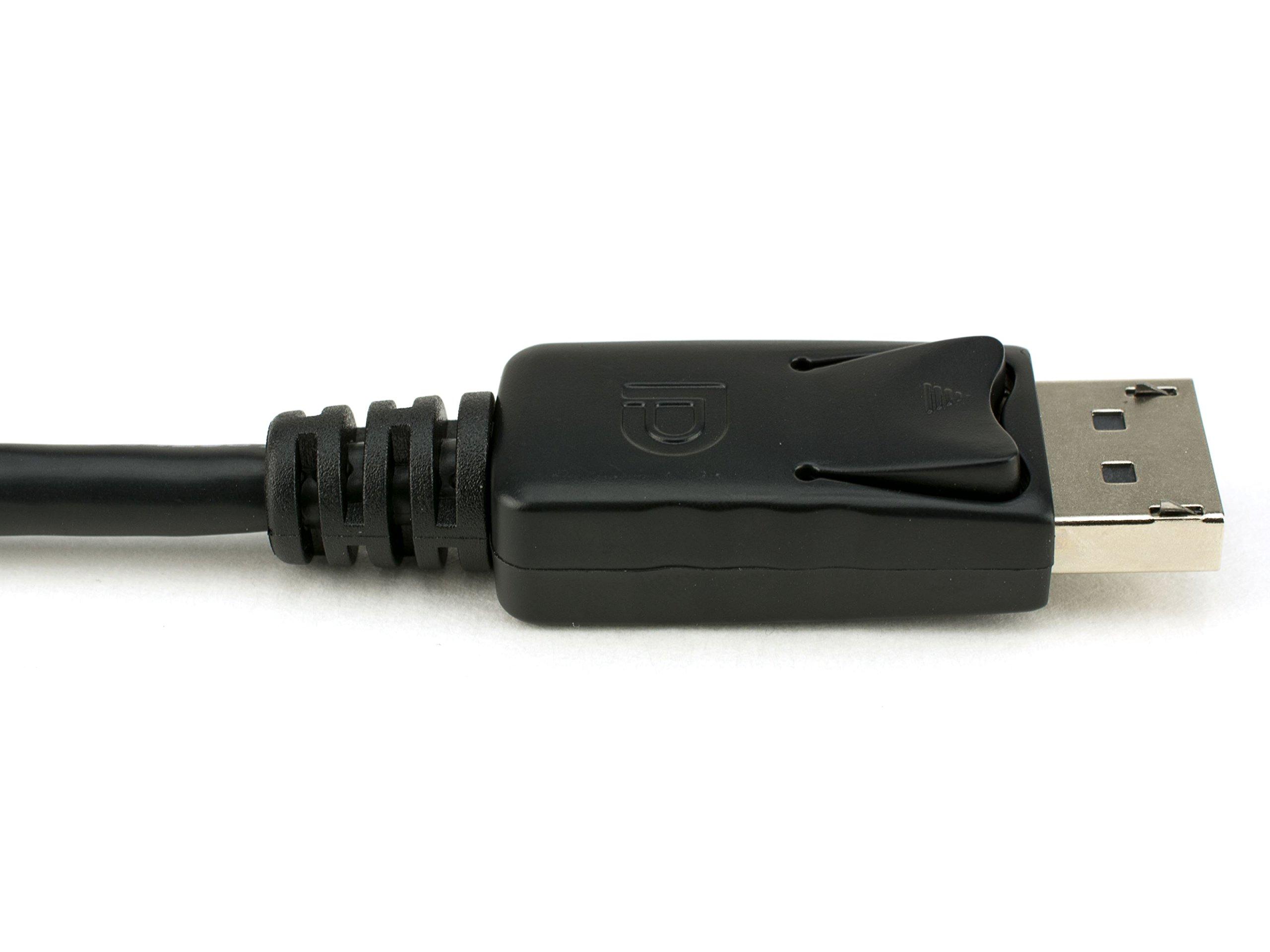 VividAV VividAV Digital Cables (3 Feet, DP to DP)