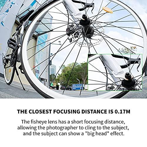 7artisans 7artisans 10mm F2.8 Full Frame Ultra Wide Angle Fisheye Lens 178°Manual Focus for Leica/Panasonic/Sigma L Serise Mirrorless Camera