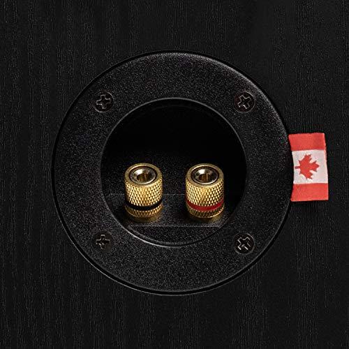 Fluance Fluance Reference Surround Sound Home Theater 5.1 Channel Speaker System including 3-Way Floorstanding Towers, Center Channel, Bookshelf Surrounds and DB10 Subwoofer - Black Ash (X851BR)