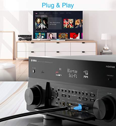 BlueRigger BlueRigger Digital Optical Audio Toslink Cable (3FT, Fiber Optic Cord, 24K Gold-Plated) - Compatible with Home Theatre, Sound Bar, TV, Xbox, Playstation PS5/PS4