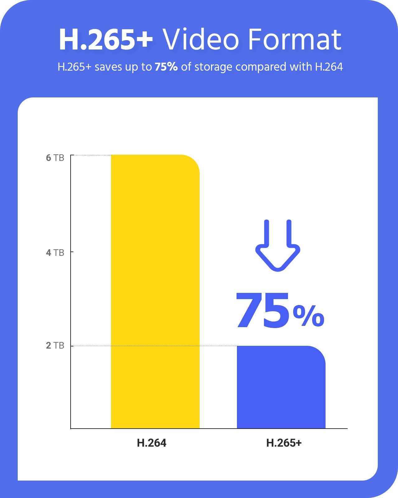 ANNKE ANNKE 8 Channel 6MP Security System Network Video Recorder (NVR), Only Supports up to 8 x 6MP ANNKE IP PoE Cameras, Power Over Ethernet, Free Remote Access, Motion Detection, 1TB Hard Disk Drive