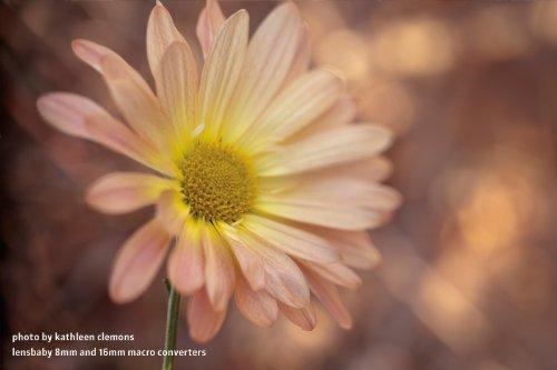Lensbaby Lensbaby Macro Converters - 8mm Converter and 16mm Converter (LBMC)