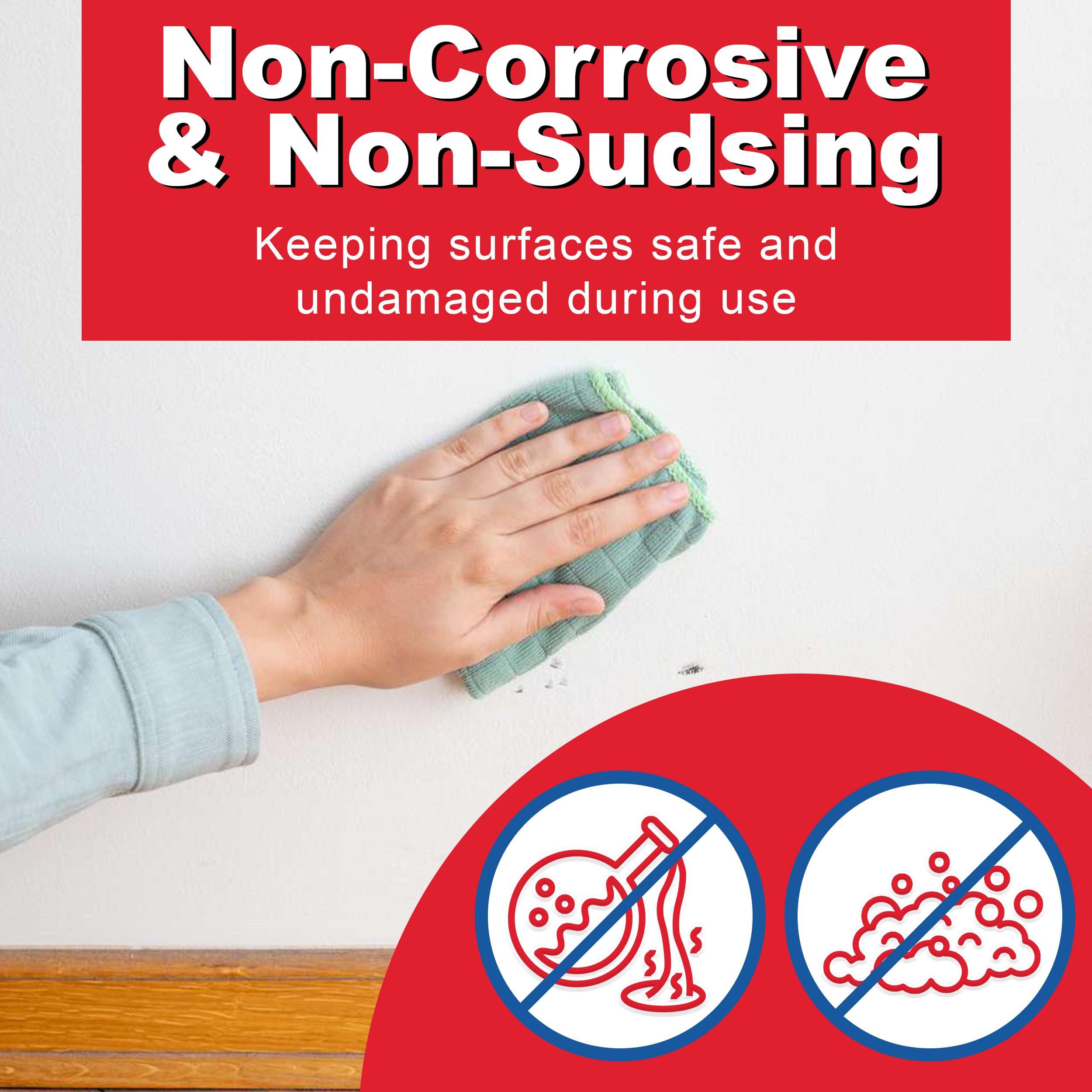 Savogran Savogran 10621 Trisodium Phosphate (TSP) 1LB (16oz)