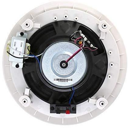 TIC TIC C7V8 Ceiling Speakers 8\" 8 70V Water-Resistant