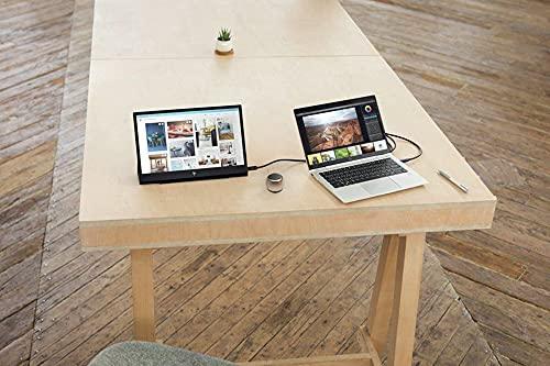 HP HP E14 FHD (1920x1080) Portable Monitor Travel Bundle with USB Type-C and Micro Bluetooth Speaker with Professional Sound, Built-in Microphone and Remote Shutter for Selfies