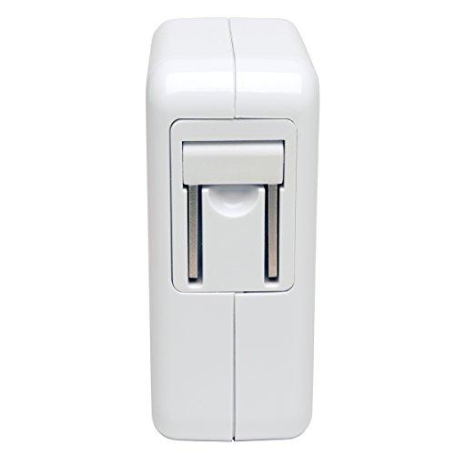 Tripp Lite Tripp Lite Dual Port USB Wall / Travel Charger for Tablet & Mobile Devices 5V/3.4A/17W (U280-002-W12)