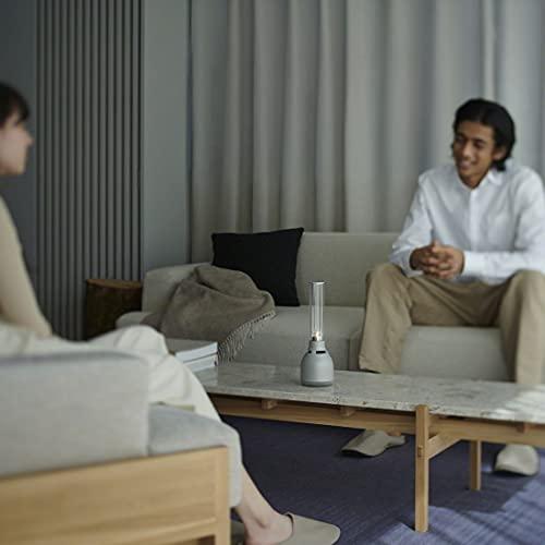 Sony Sony Glass Sound Speaker LSPX-S3: Bluetooth Compatible/Handsfree Calls/USB Type-C