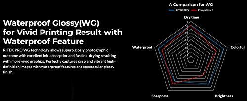 Ritek Pro 100-Pak Ritek Pro CD-R 52X 700MB 80Min Professional Grade Watershield Water Resistant Glossy White Inkjet Hub Printable Blank Recordable Disc in Cakebox (2 x 50-Pak)