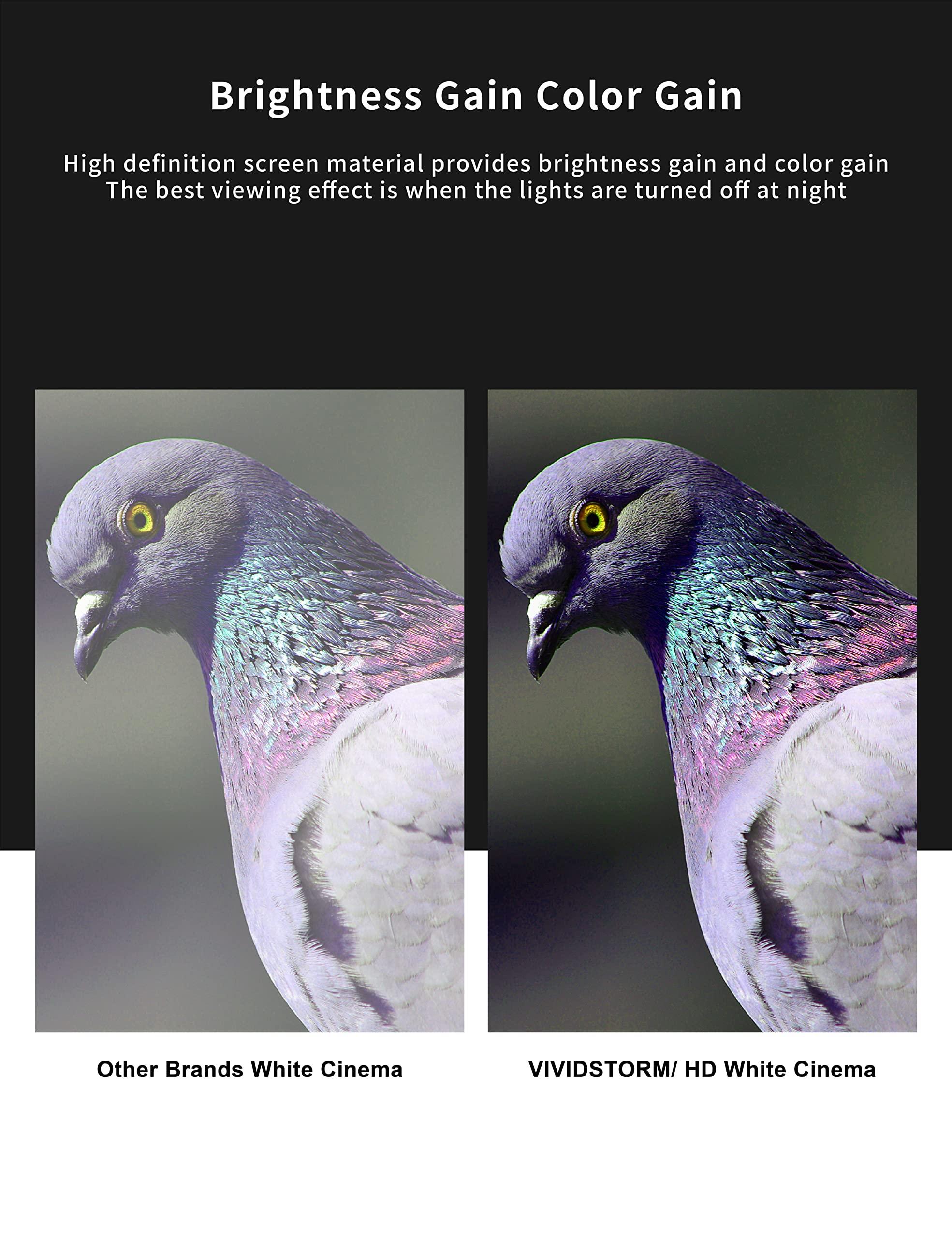 VIVID STORM SINCE 2004 VIVIDSTORM-Projector Screen Portable Folding Stand Indoor Tension Floor Screen 4k HD All White Cinema, 4K/3D/UHD Gaming/Home Cinema,Compatible with Normally Projector,VSDSTWA92H