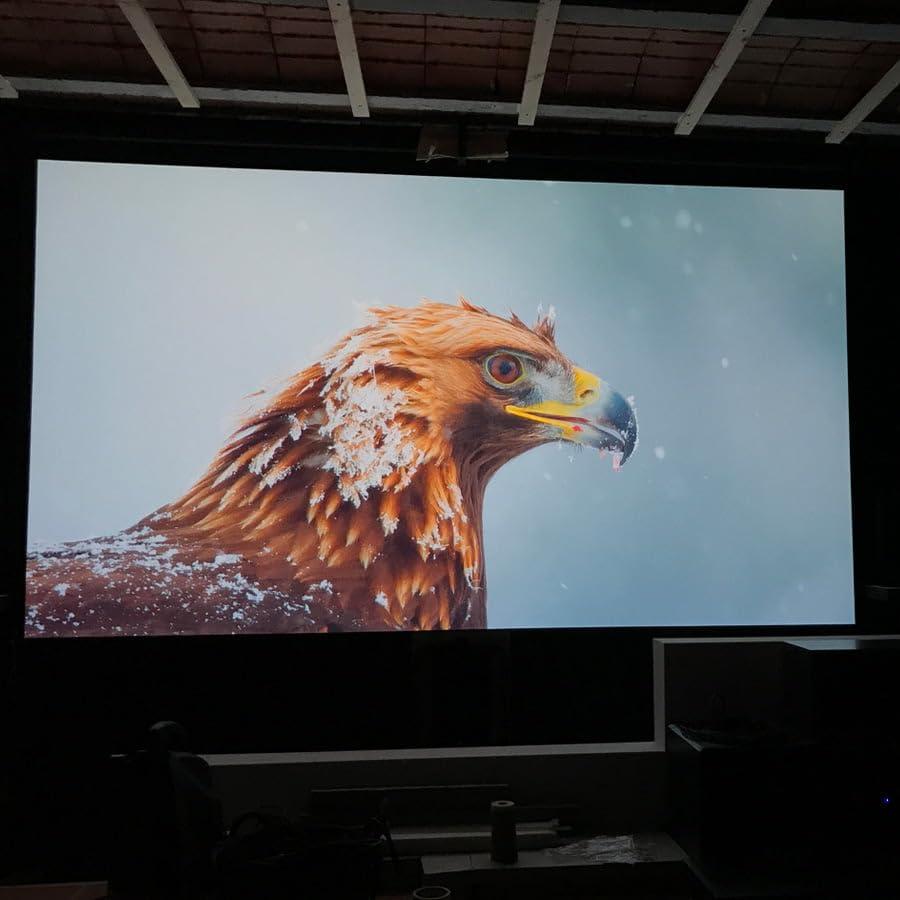 SmarterSurfaces SmarterSurfaces Ambient Light Rejecting Projector Screen Paint (270 sqft/169.07 floz) 4K & 8K Ultra HD Projector Paint Perfect for Dark Rooms & Conferencing Spaces with Ultra Matte Finish (Gain 0.71)