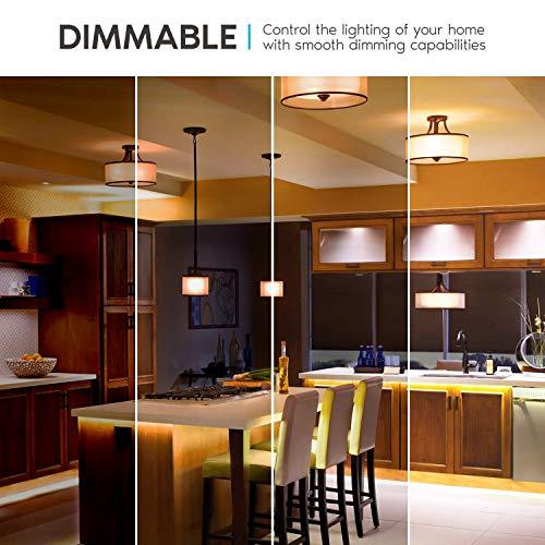 LUXRITE LUXRITE A21 LED Bulbs 150 Watt Equivalent, 2550 Lumens, 2700K Warm White, Dimmable Standard LED Bulb 22W, Energy Star, E26 Medium Base - Indoor and Outdoor (2 Pack)