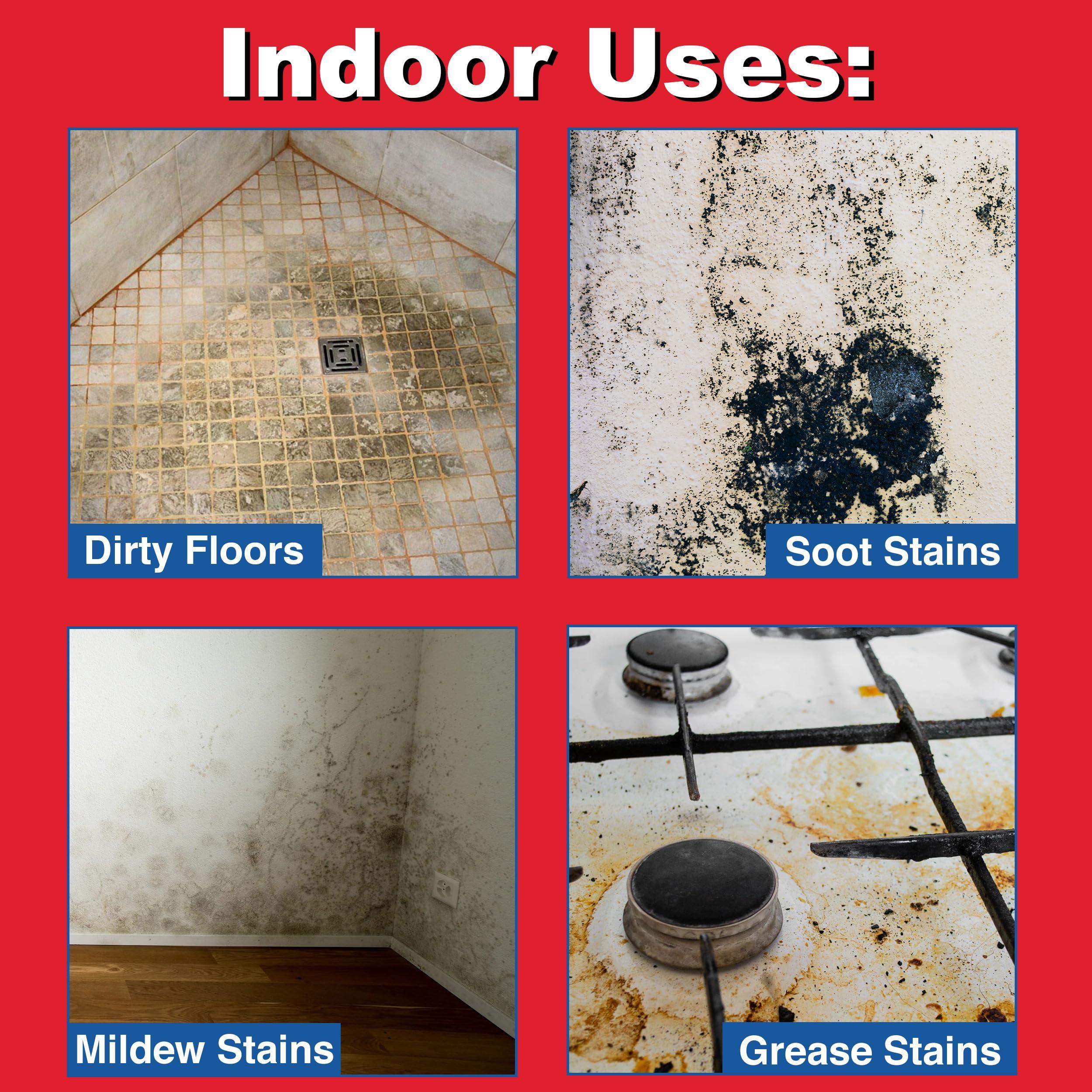 Savogran Savogran 10621 Trisodium Phosphate (TSP) 1LB (16oz)