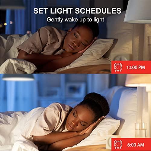 Sengled Sengled Smart Light Bulb, WiFi Light Bulbs That Work with Alexa & Google Home, No Hub Required, Smart LED Light Bulb A19 Soft White Light (2700K), 2 Pack