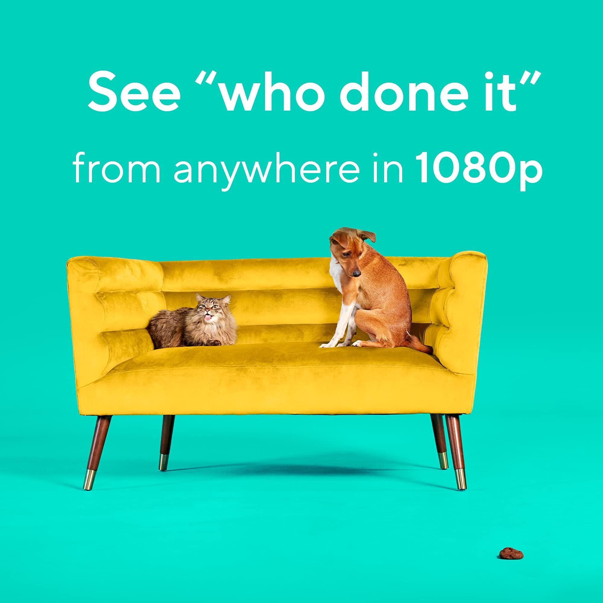 WYZE Cam Pan v2 1080p Pan/Tilt/Zoom Indoor with Color Night Vision and Reflective Security Yard Sign for Video Surveillance