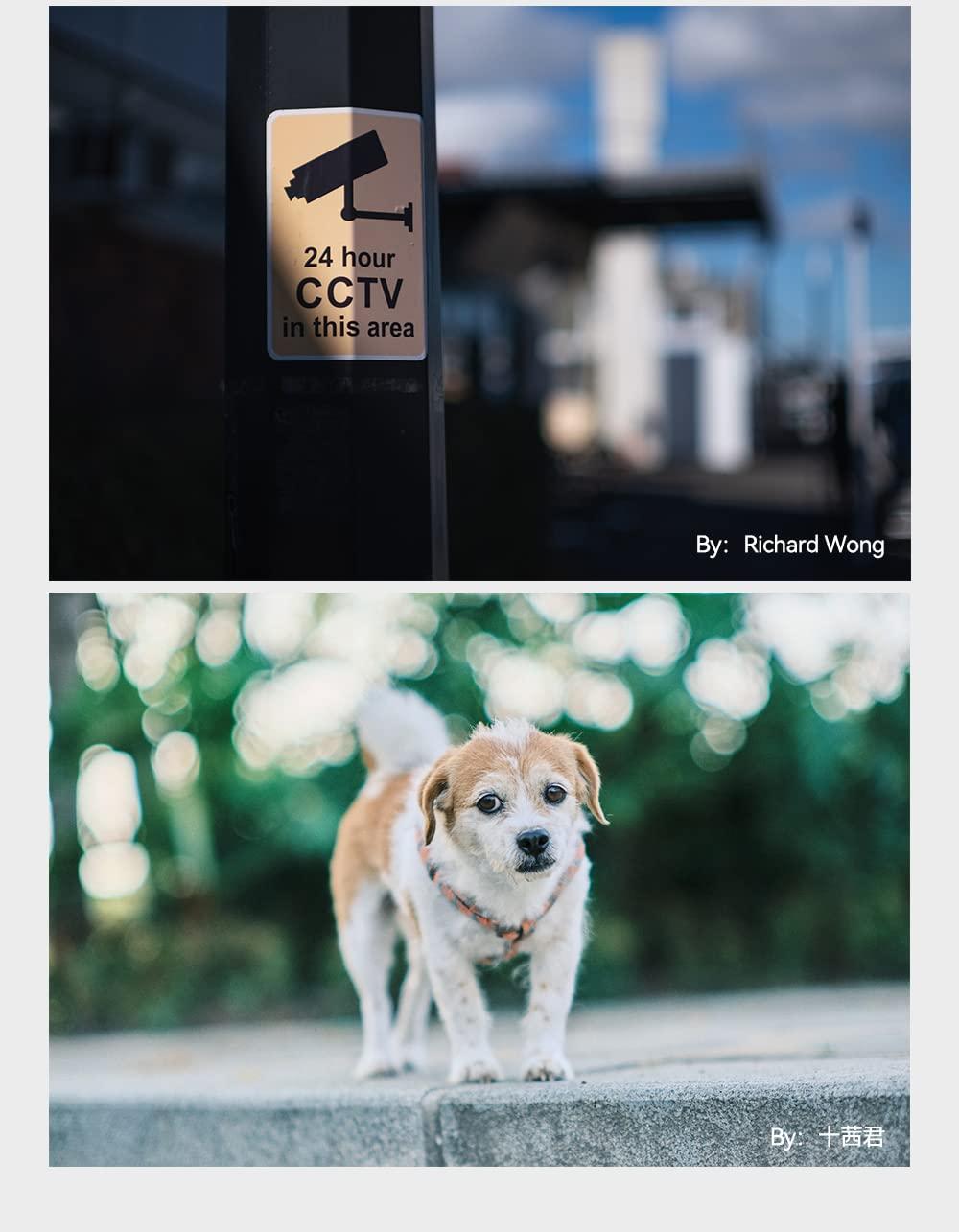 TTARTISAN TTArtisan 50mm F0.95 APS-C Portrait-Length Manual Lens Accessory for Leika L/Sigma L Mount Compatible Cameras with T TL TL2 CL FP