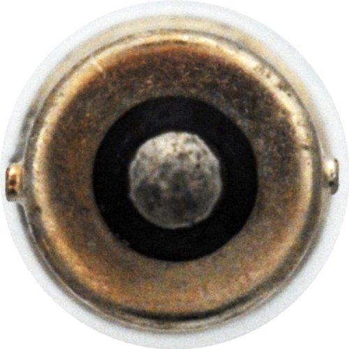 SYLVANIA SYLVANIA 97 Basic Miniature Bulb, (Contains 10 Bulbs)