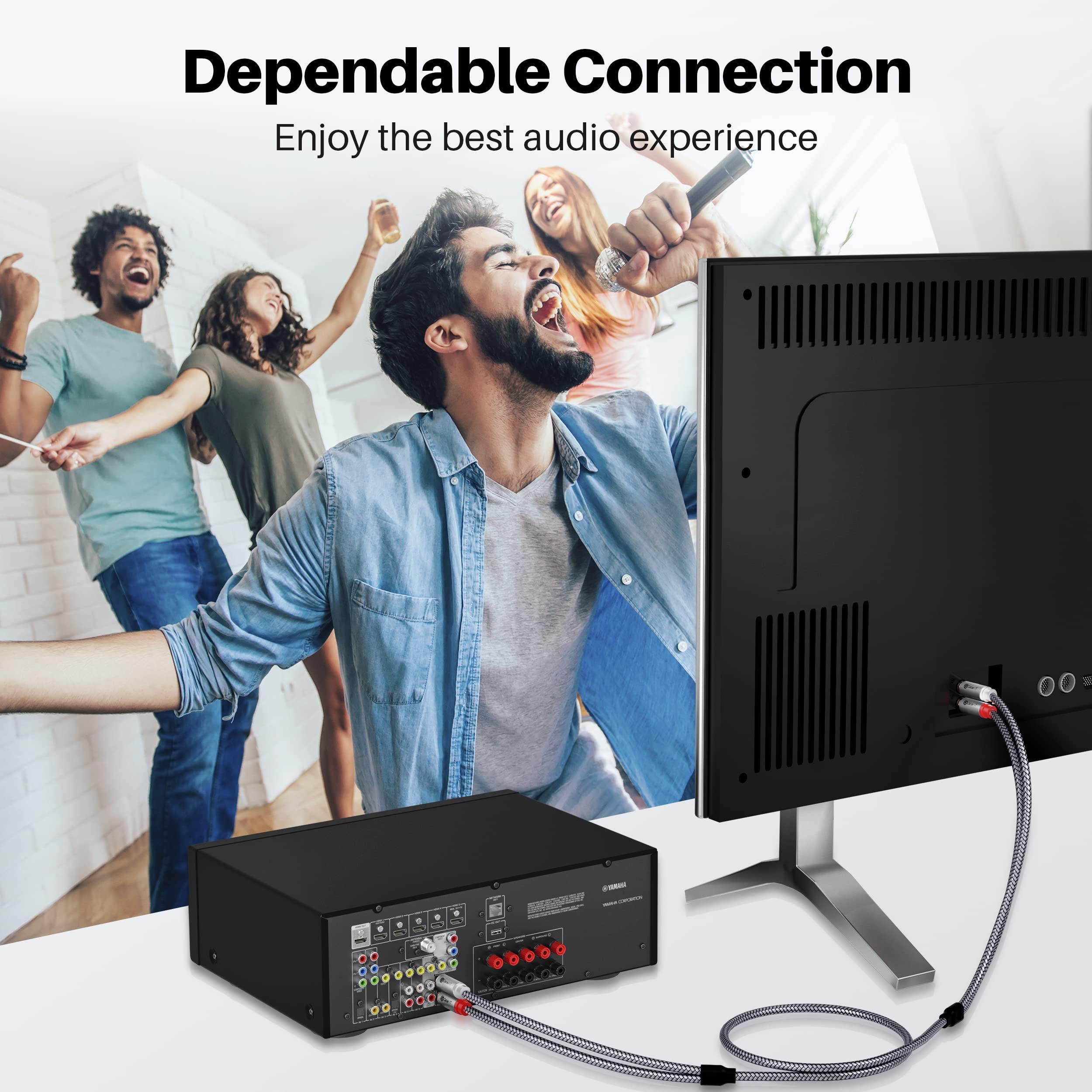 GEARit GEARit RCA Cable (10FT) 2RCA Male to 2RCA Male Stereo Audio Cables Shielded Braided RCA Stereo Cable for Home Theater, HDTV, Amplifiers, Hi-Fi Systems, Car Audio, Speakers, 10 Feet