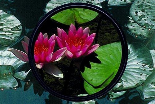 Heliopan Heliopan 58mm Circular Polarizer SH-PMC Filter (705846) with specialty Schott glass in floating brass ring