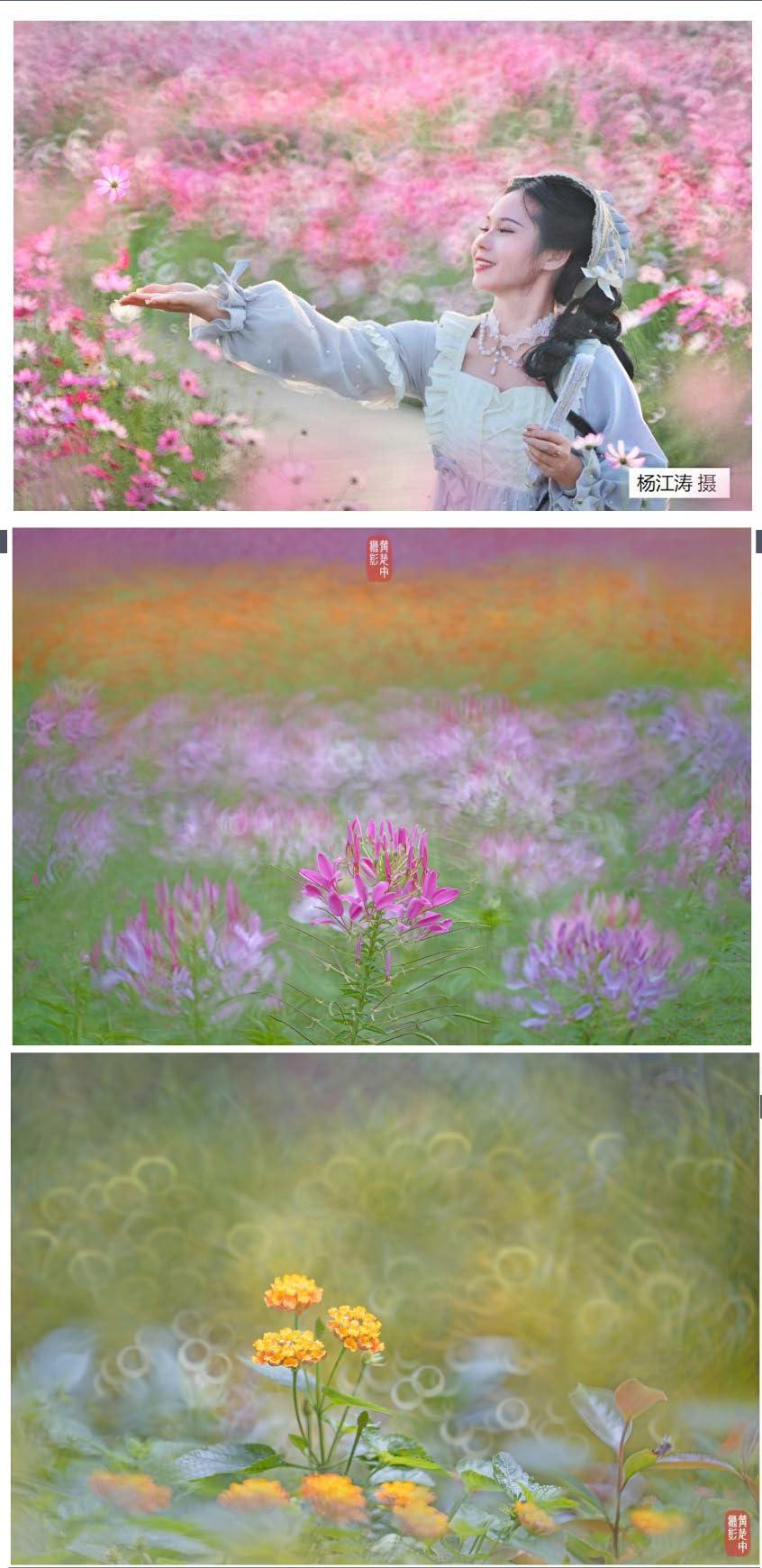 Kase Kase 200mm F5.6 MC Reflex Mirror Aluminum Portrait Lens Compatible with Canon RF Mount