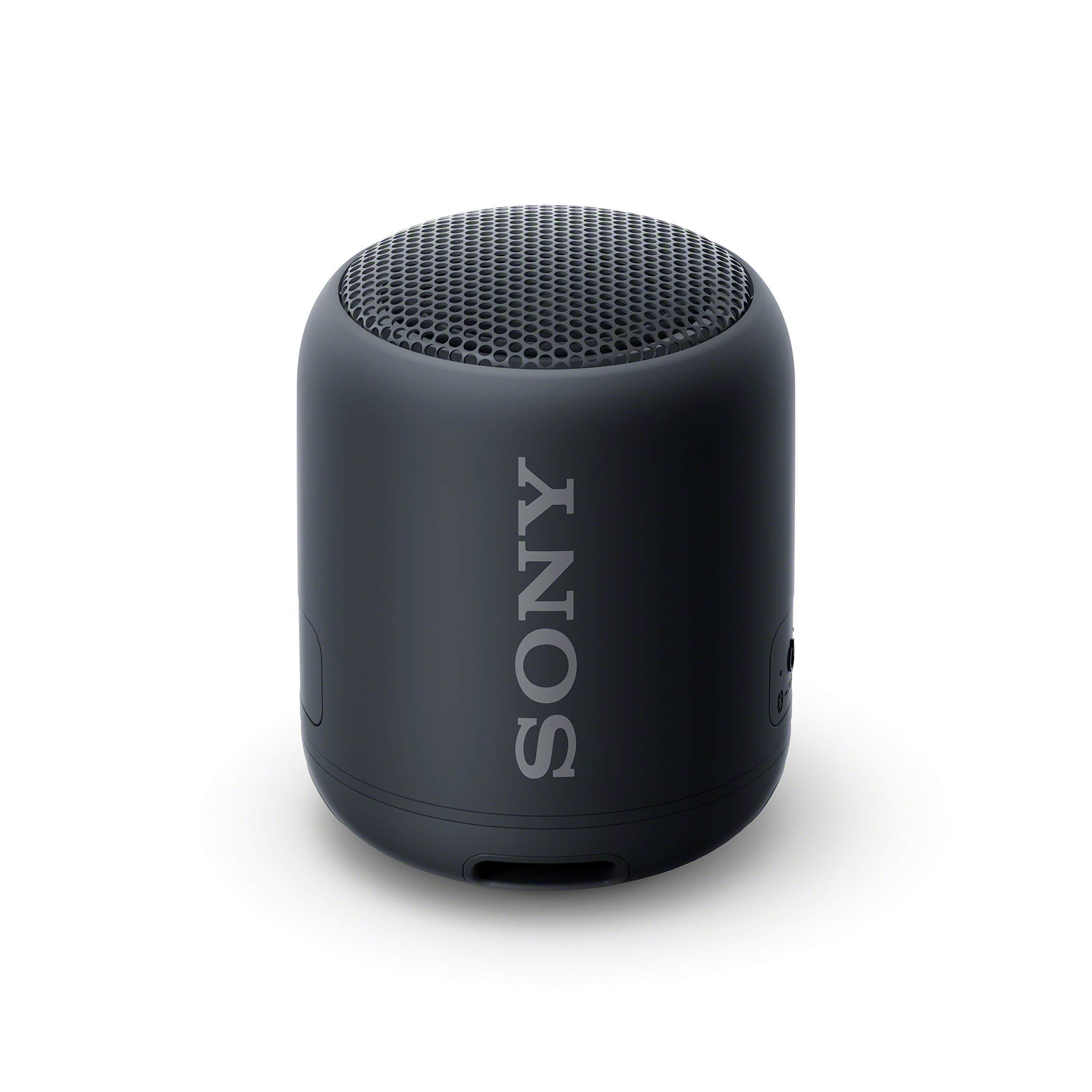 Sony Sony Portable Bluetooth Speaker - Black (Renewed)