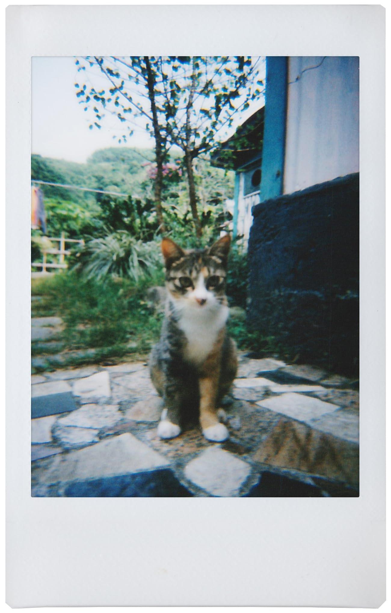 Lomography Lomo'Instant Boston Edition Camera