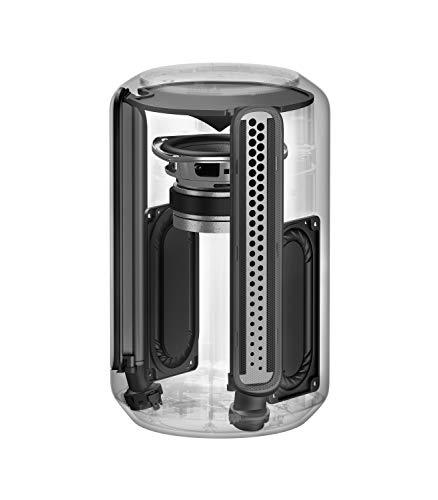 Sony Sony SRS-RA3000 360 Reality Audio Wi-Fi / Bluetooth Wireless Speaker, Works with Alexa and Google Assistant, Black